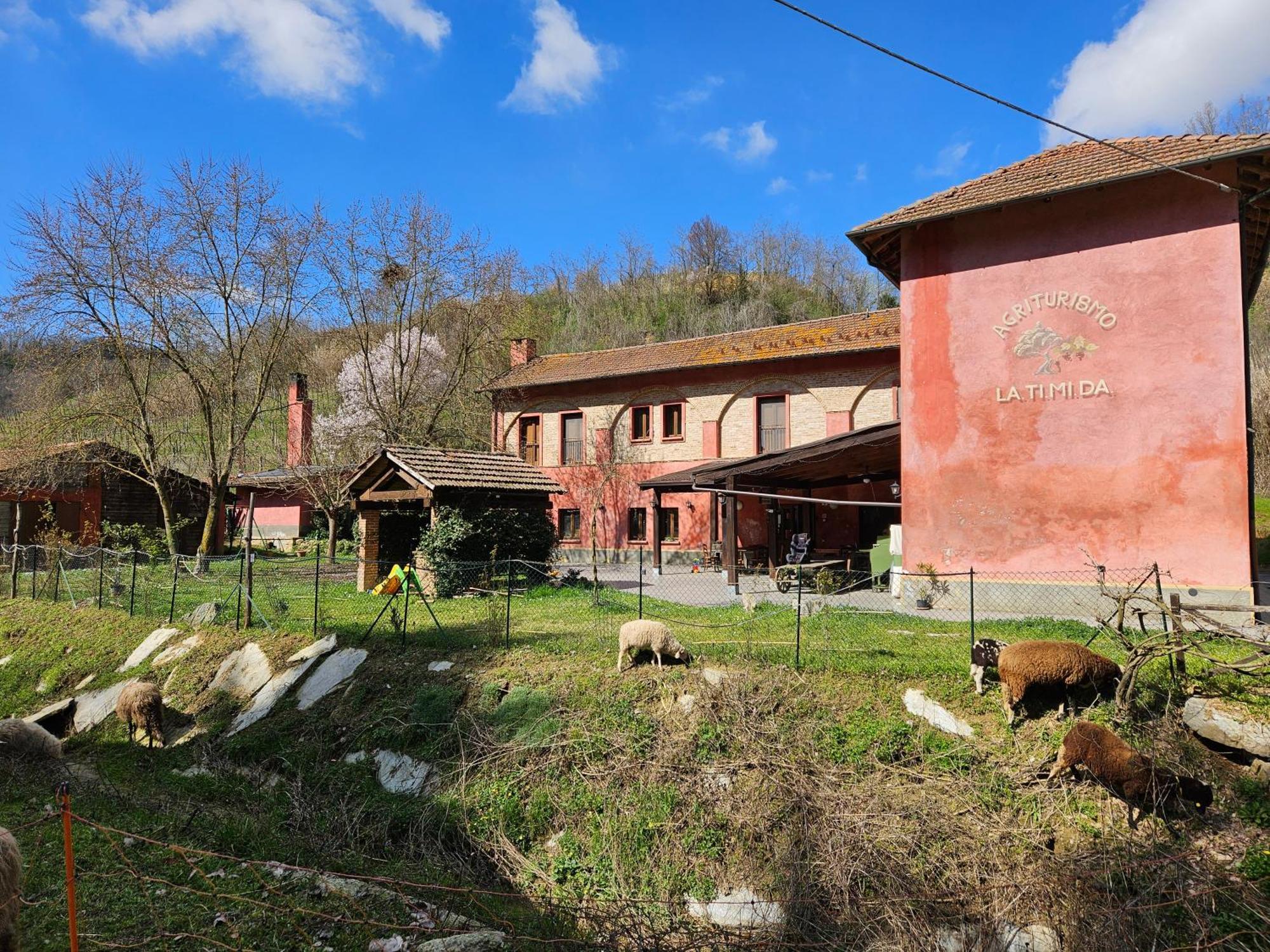 Agriturismo La.Ti.Mi.Da. Villa Cassine Esterno foto