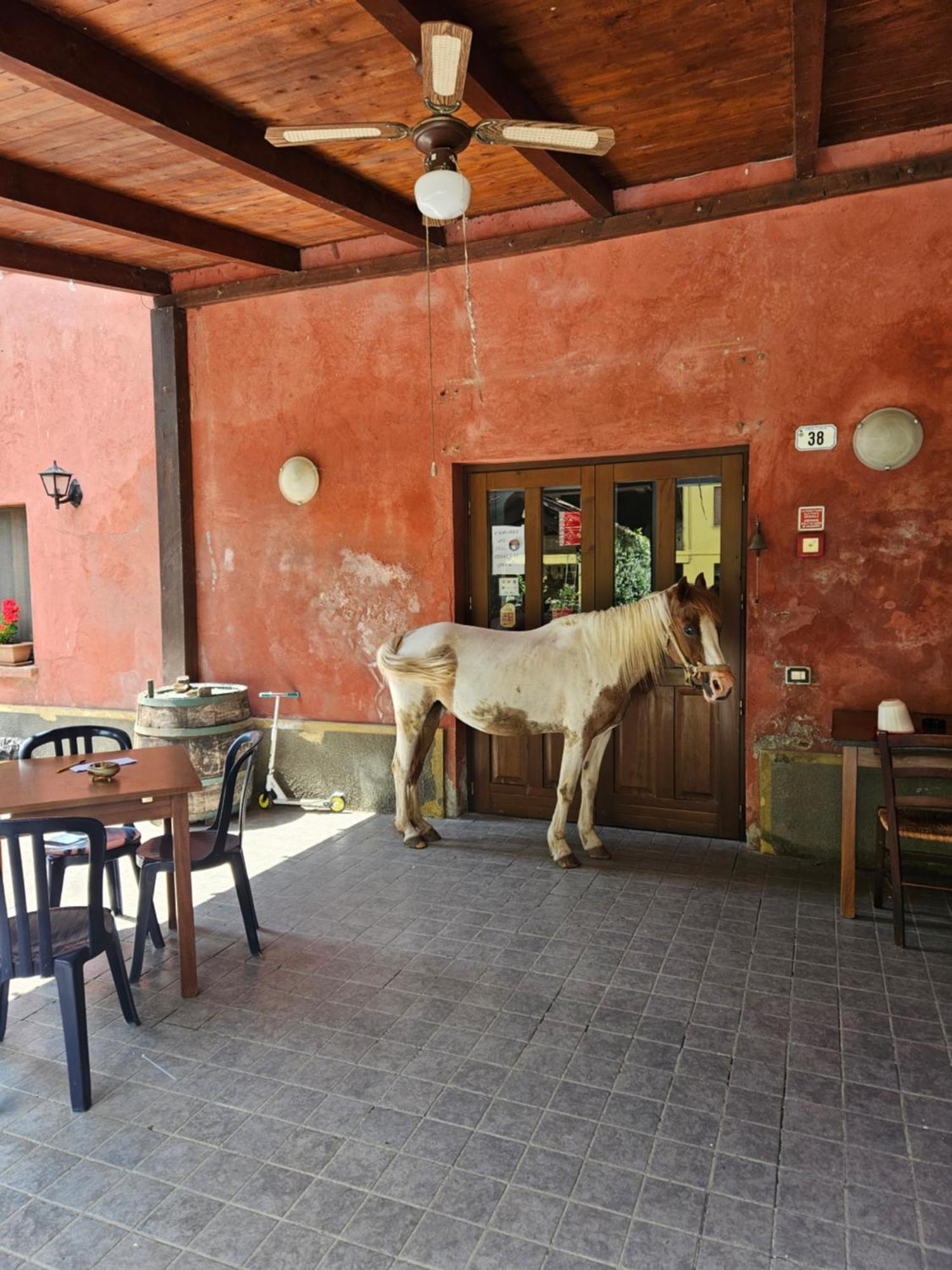 Agriturismo La.Ti.Mi.Da. Villa Cassine Esterno foto