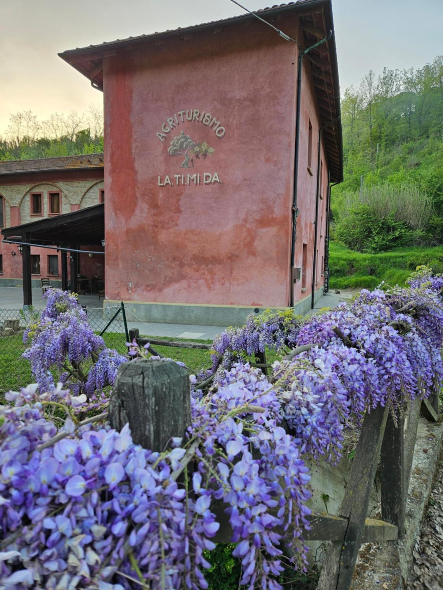 Agriturismo La.Ti.Mi.Da. Villa Cassine Esterno foto