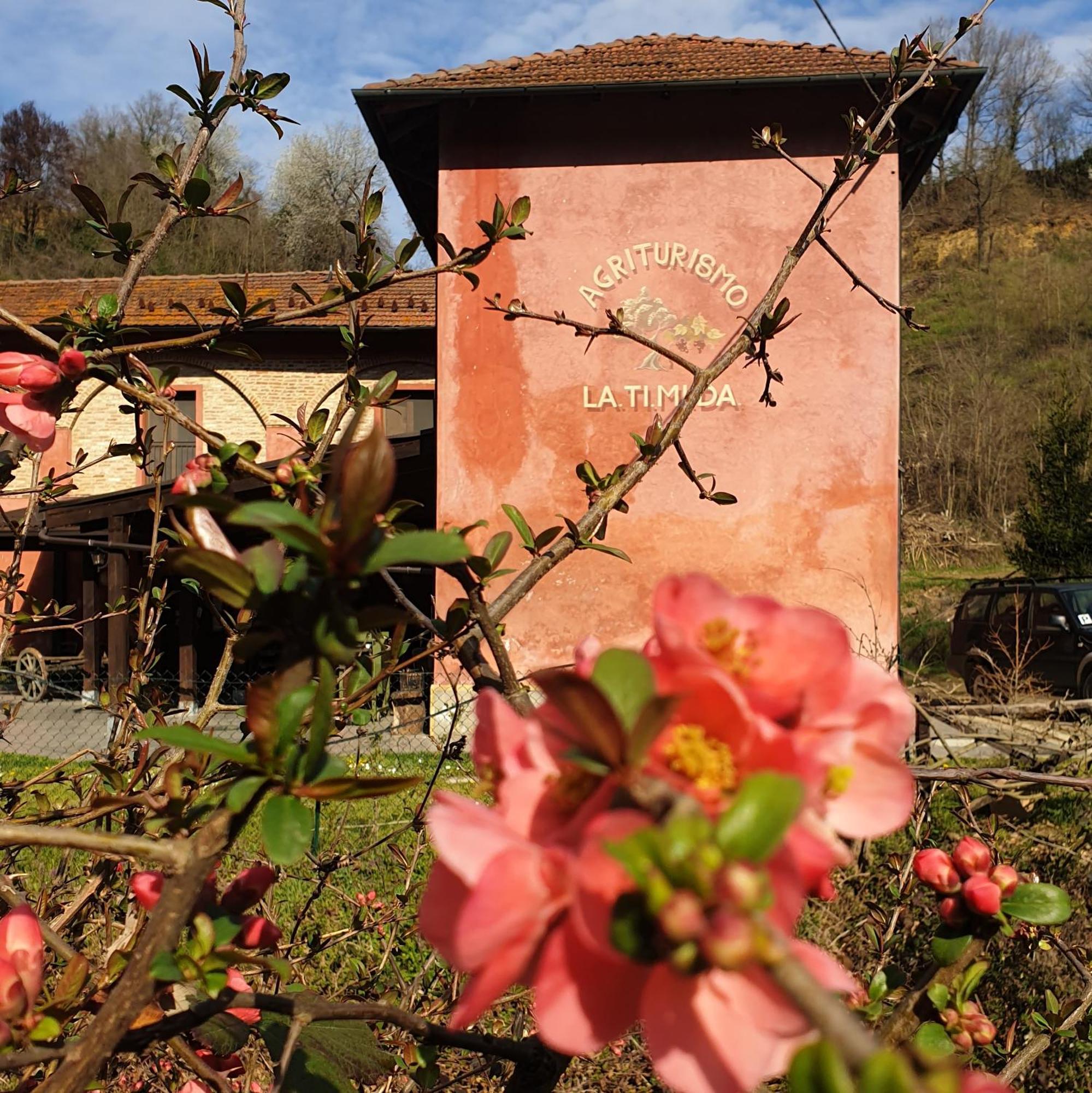 Agriturismo La.Ti.Mi.Da. Villa Cassine Esterno foto