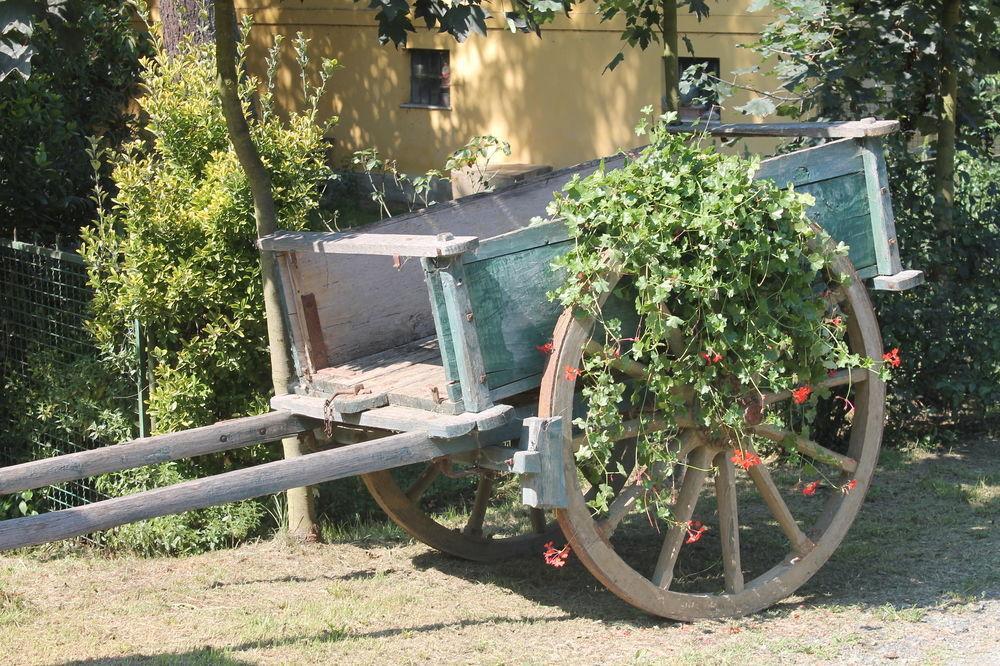 Agriturismo La.Ti.Mi.Da. Cassine Esterno foto