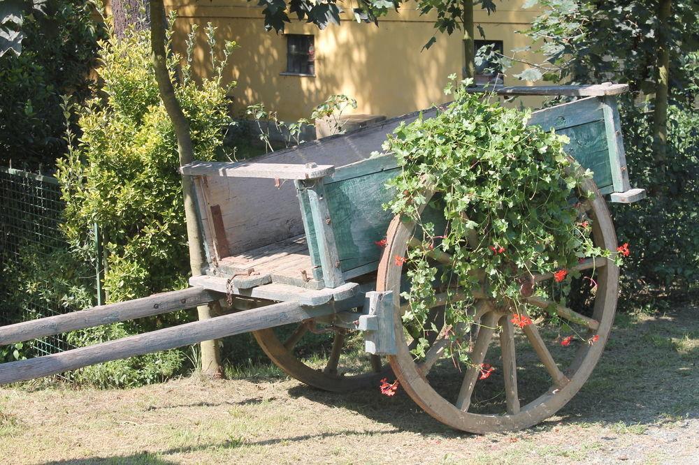 Agriturismo La.Ti.Mi.Da. Villa Cassine Esterno foto